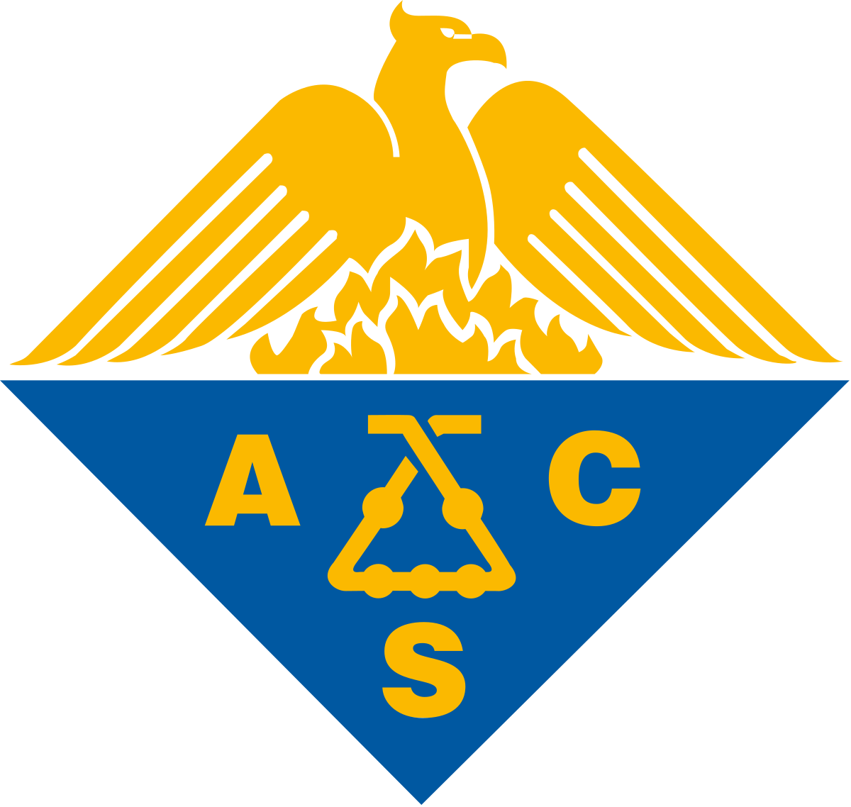 Capítulo Profesional ACS Colombia